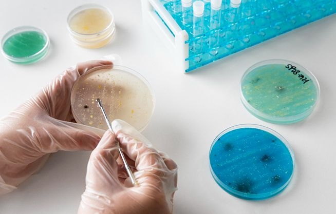 Laboratorio de Bacteriófagos