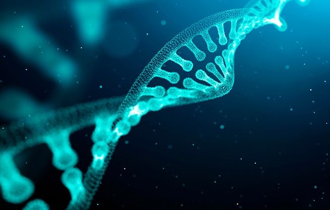 Laboratorio de Genómica y Biología Integrativa