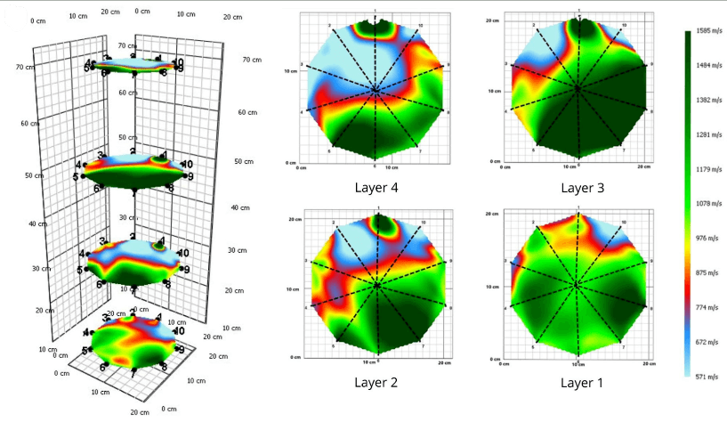 Artículo científico | Noninvasive Sonic Tomography for the Detection of Internal Defects in Relict Woodlands of Polylepis in Peru