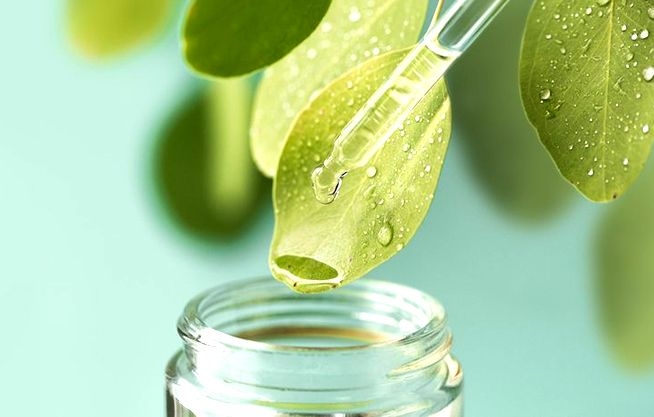 Laboratorio de Anatomía y Farmacognosia Vegetal