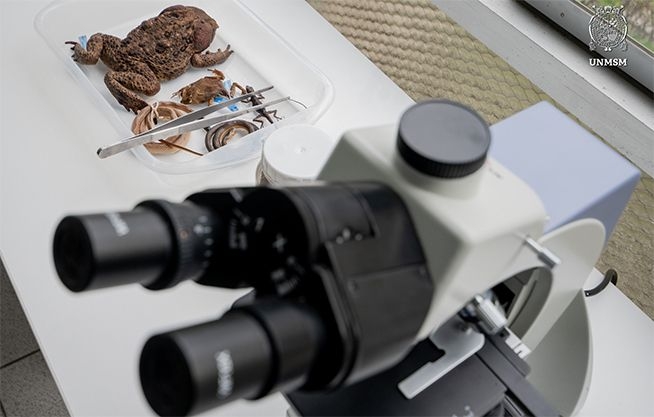 Laboratorio de Sistemática y Ecología de Vertebrados