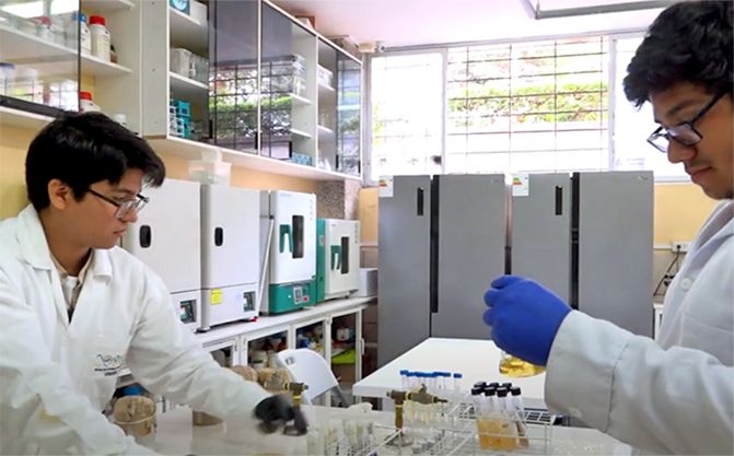 Laboratorio de Biotecnología Ambiental y Bioprocesos Industriales