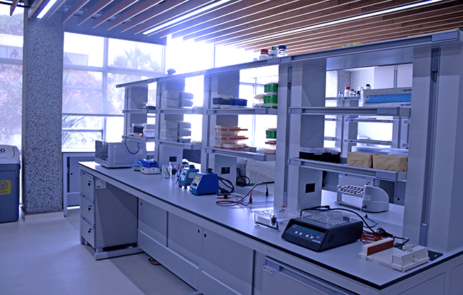 Laboratorio de Genómica y Bioinformática para la Biodiversidad