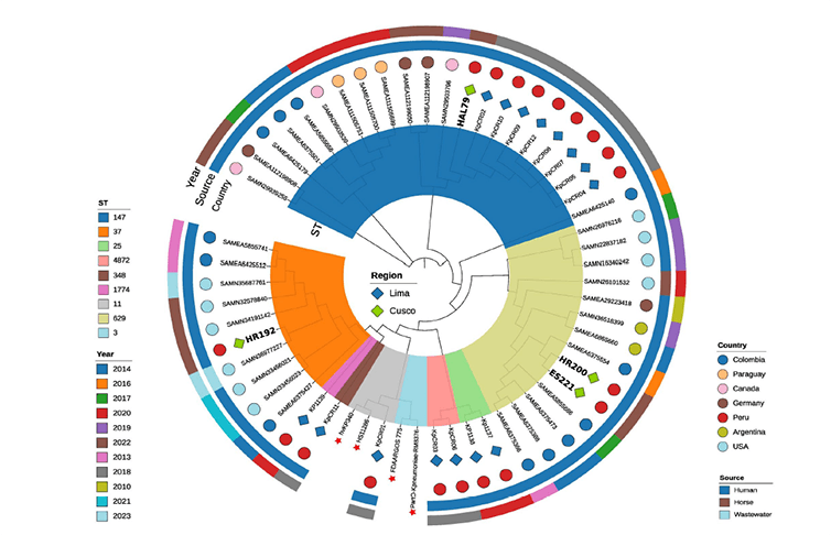 Artículo científico | Identification of pandemic ST147, ESBL-type β-lactamases, carbapenemases, and virulence factors in Klebsiella pneumoniae isolated from southern Peru