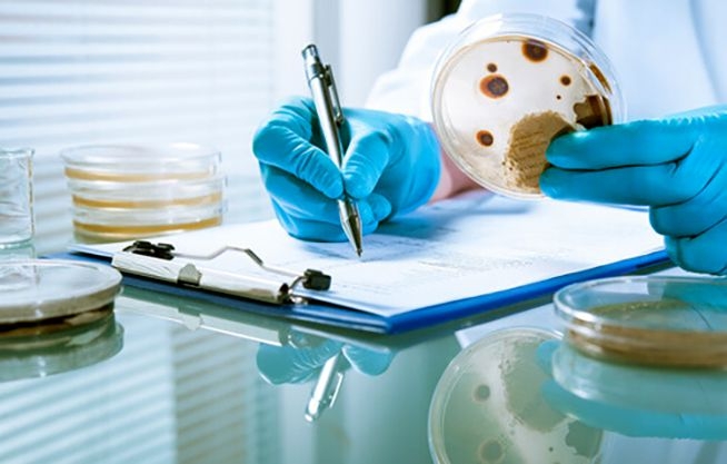 Laboratorio de Bioquímica de Toxinas Naturales