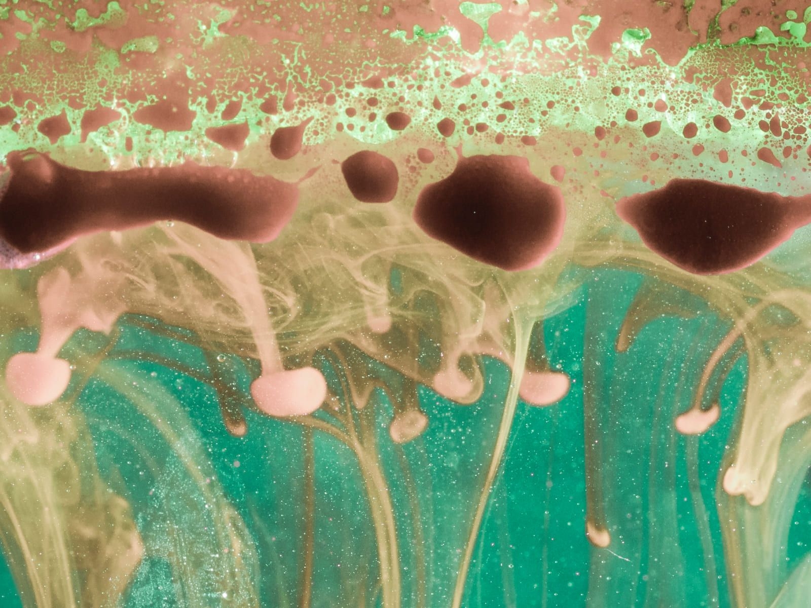Laboratorio de Microbiología Acuática y Aplicaciones Tecnológicas