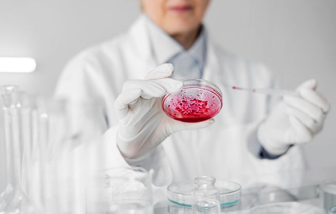 Laboratorio de Parasitología de Fauna Silvestre y Zoonosis
