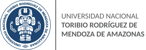 Universidad Toribio