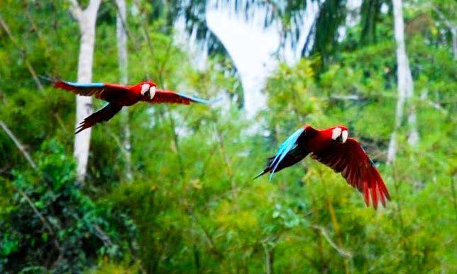 Curso de Posgrado: "Conservación y Gestión de Ecosistemas"
