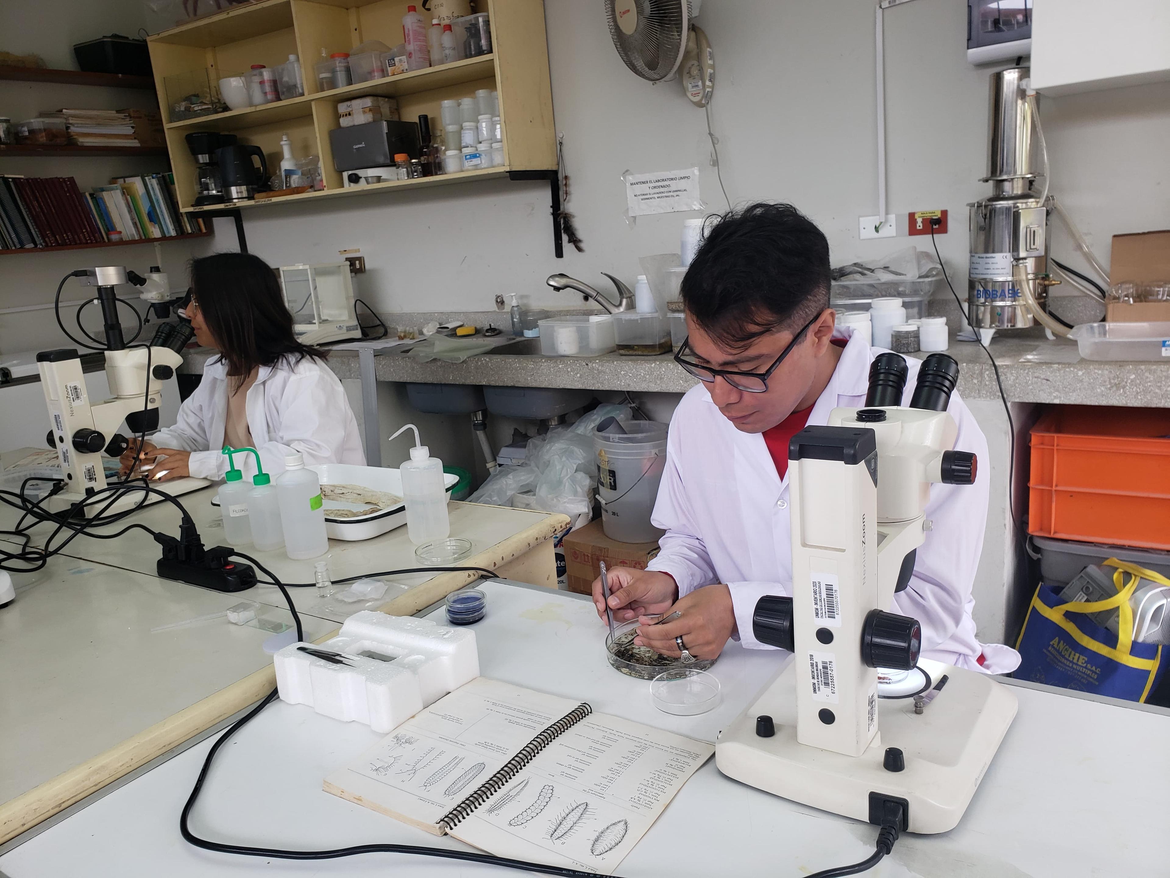 Convocatoria para tesistas de Pregrado y Asistente de Investigación - Laboratorio de Zoología de Invertebrados