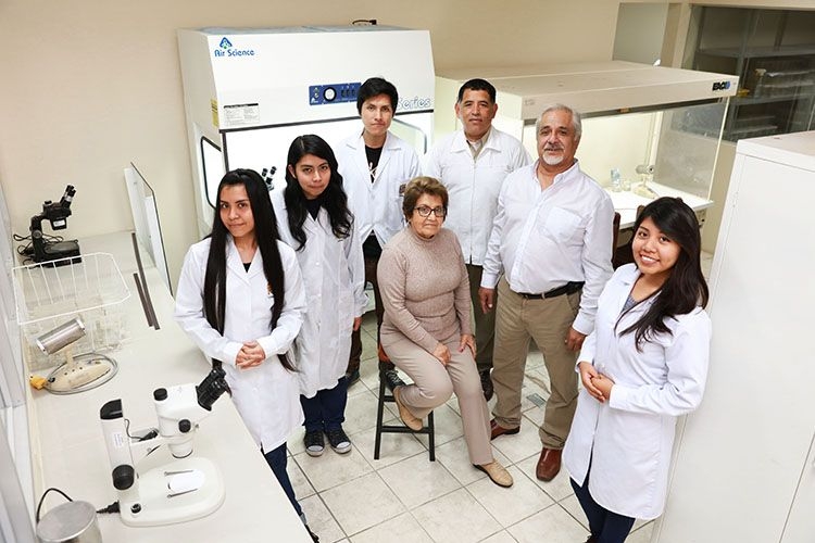 Grupo de investigación en bioeconomía (BIOECON)