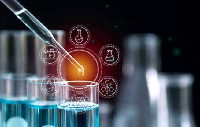 Laboratorio de Citogenética y Bioensayos