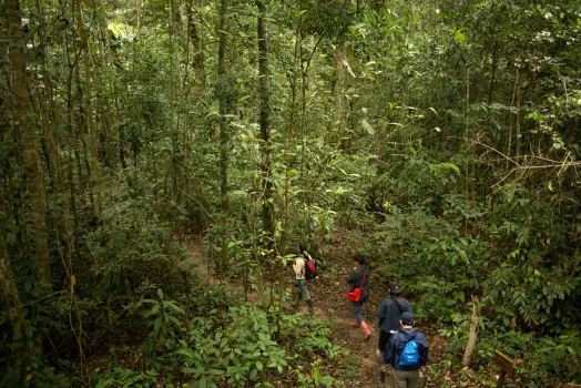 biodiversidad-y-gestion-de-ecosistemas