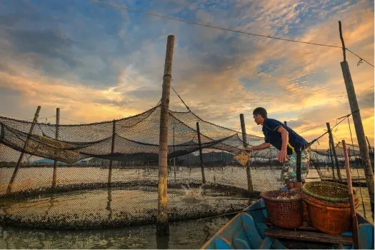 ecosistemas-y-recursos-acuaticos-con-mencion-en-acuicultura