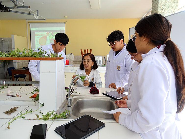 Convocatoria: Promoción Docente 2025 de la Universidad Nacional Mayor de San Marcos