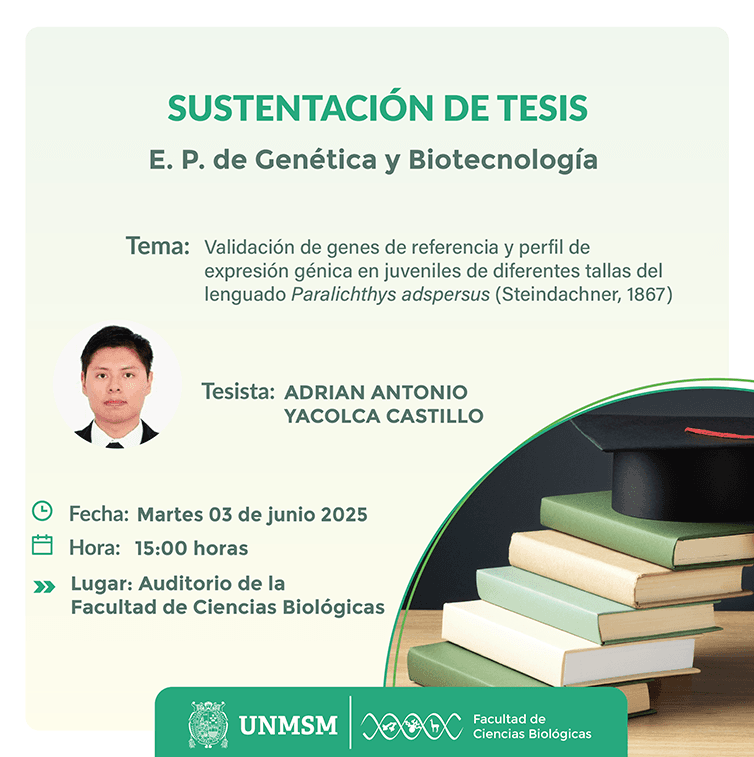 web tesis gyb 03.06_Mesa de trabajo 1.png